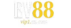 ev88vip1.cn.com
