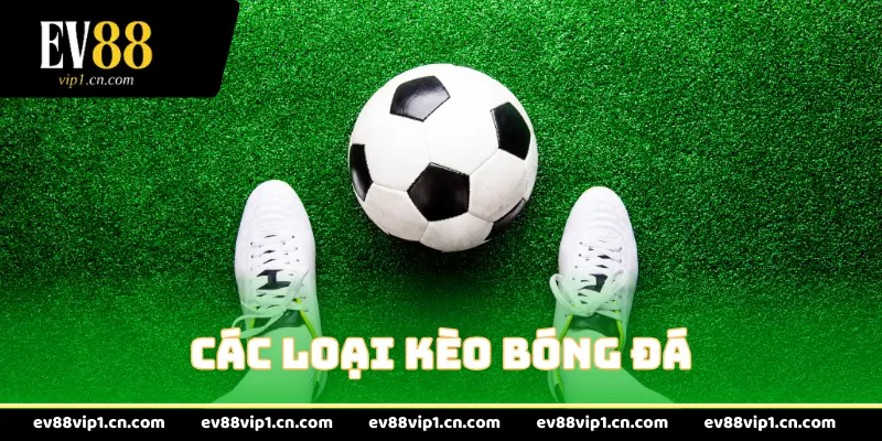 Các Loại Kèo Bóng Đá
