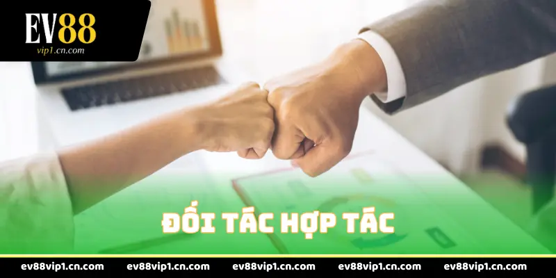 Đối tác hợp tác